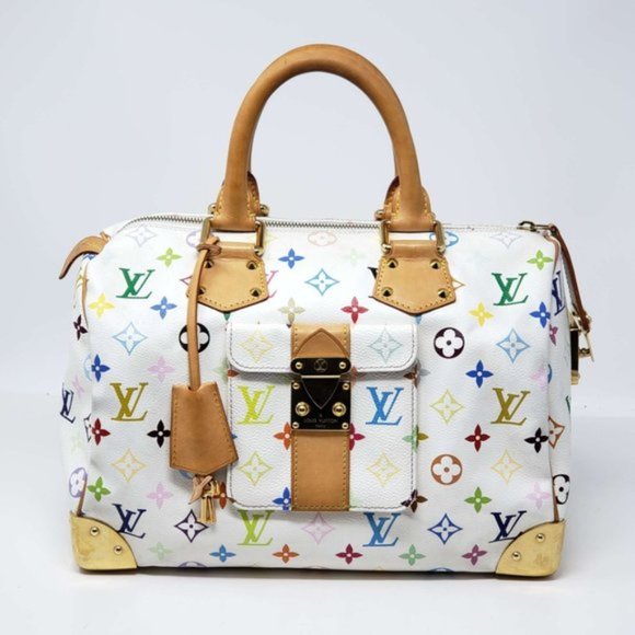 Louis Vuitton Handbags - Louis Vuitton Speedy 30 Multicolor Limited Edition